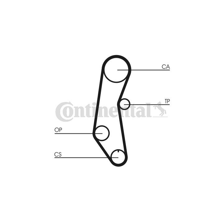 Paskirstymo diržas CONTINENTAL CTAM CT650