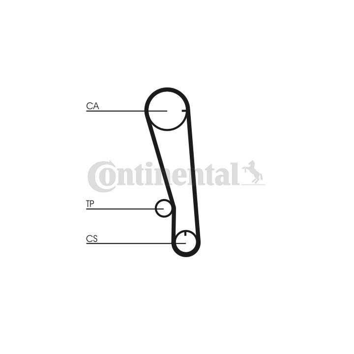 Paskirstymo diržas CONTINENTAL CTAM CT665