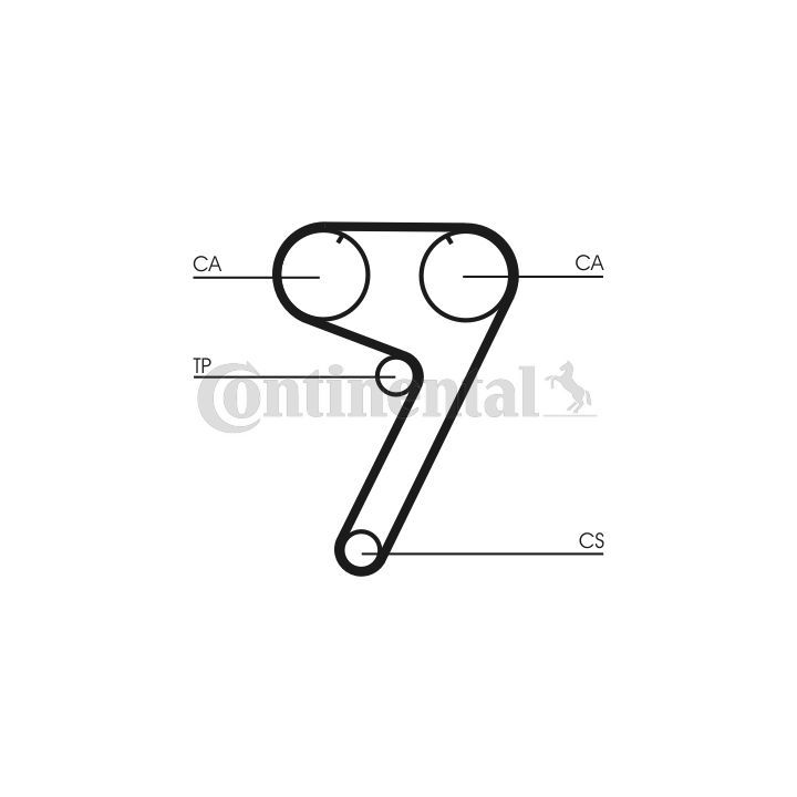 Paskirstymo diržas CONTINENTAL CTAM CT670
