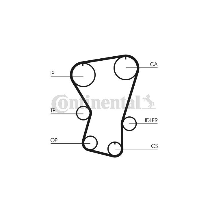 Paskirstymo diržas CONTINENTAL CTAM CT677