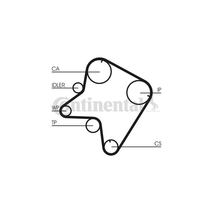 Paskirstymo diržas CONTINENTAL CTAM CT762