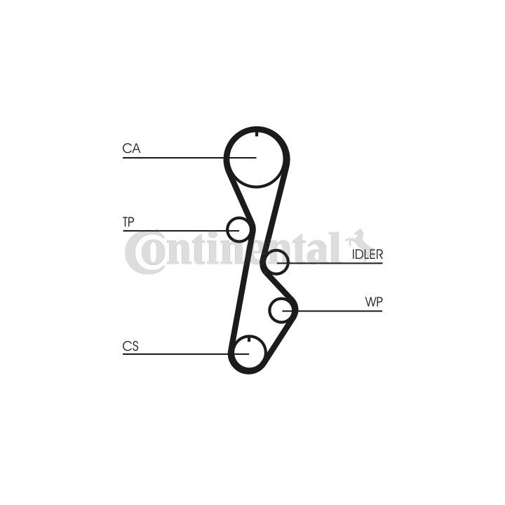 Paskirstymo diržas CONTINENTAL CTAM CT785