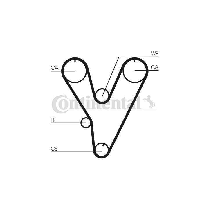 Paskirstymo diržas CONTINENTAL CTAM CT805