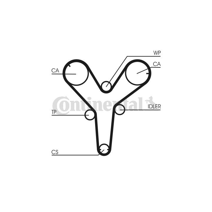 Paskirstymo diržas CONTINENTAL CTAM CT844
