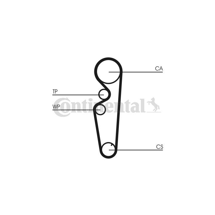 Paskirstymo diržas CONTINENTAL CTAM CT878