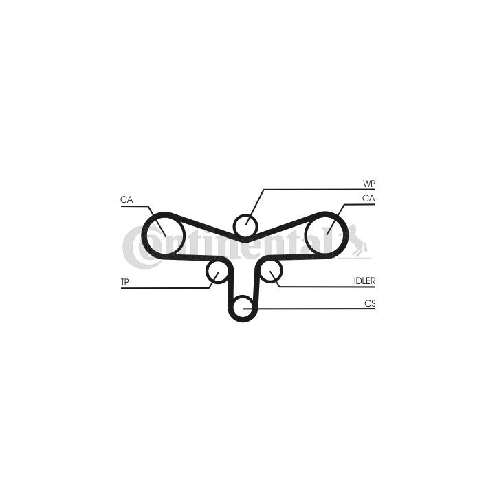 Paskirstymo diržas CONTINENTAL CTAM CT920