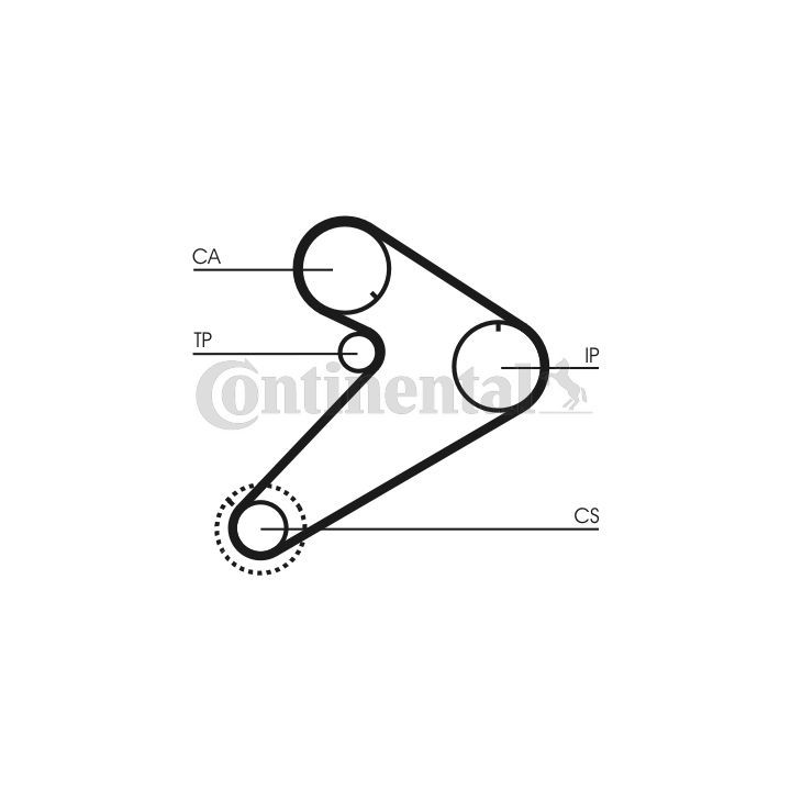 Paskirstymo diržas CONTINENTAL CTAM CT921