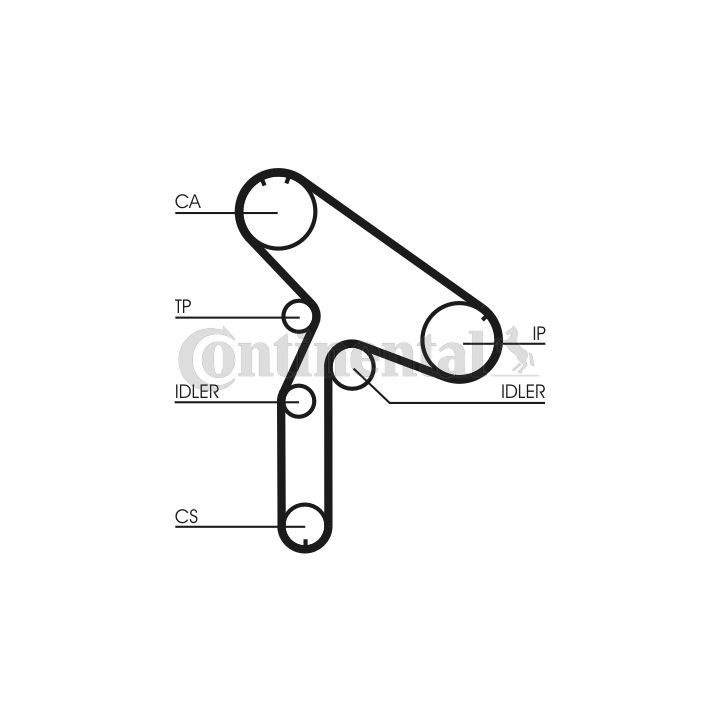 Paskirstymo diržas CONTINENTAL CTAM CT921