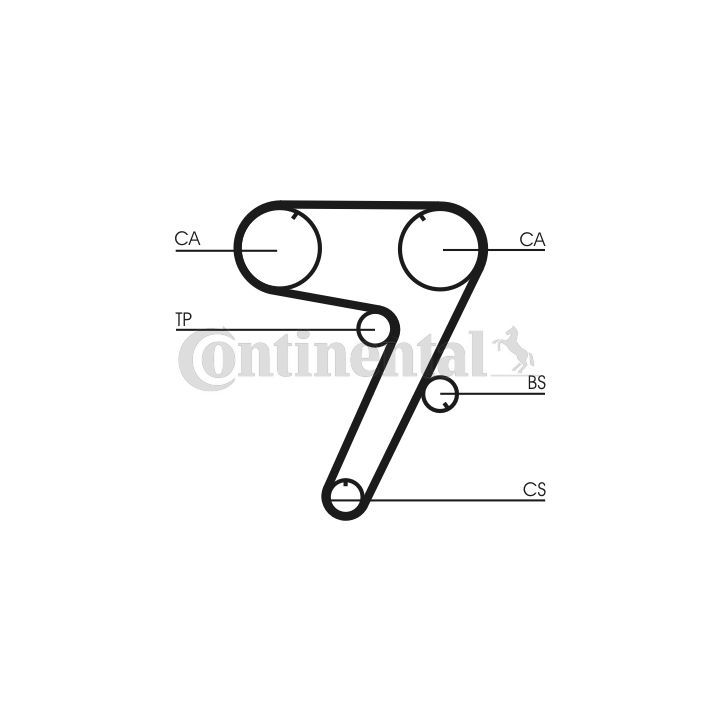 Paskirstymo diržas CONTINENTAL CTAM CT931