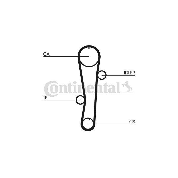 Paskirstymo diržas CONTINENTAL CTAM CT942