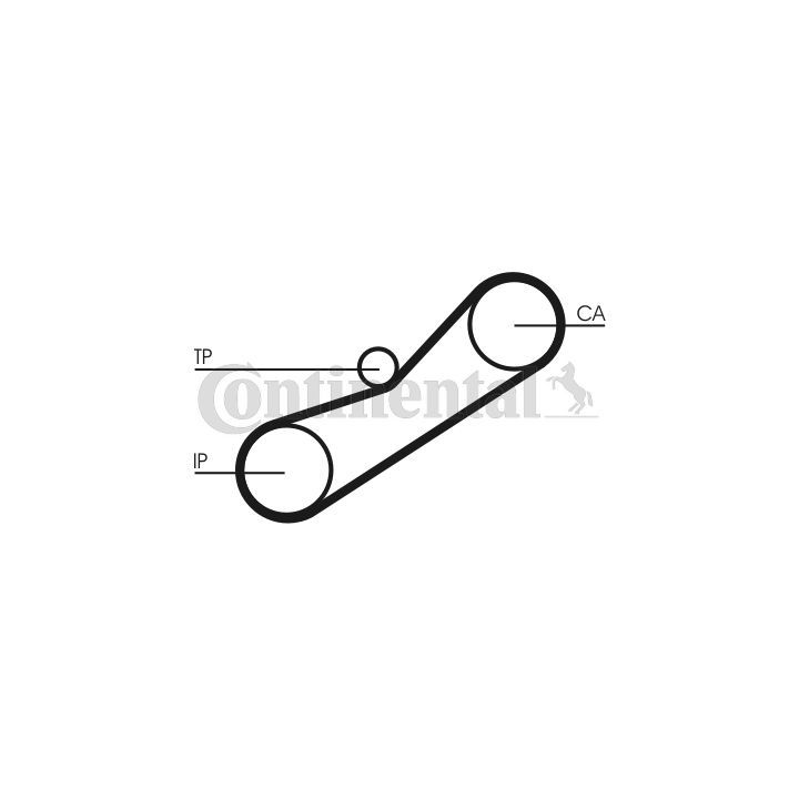 Paskirstymo diržas CONTINENTAL CTAM CT950