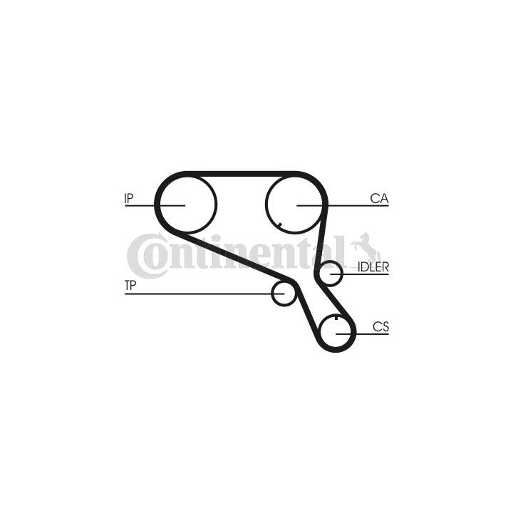 Paskirstymo diržas CONTINENTAL CTAM CT952
