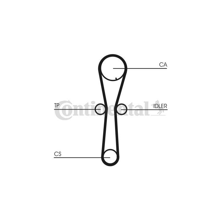 Paskirstymo diržas CONTINENTAL CTAM CT954