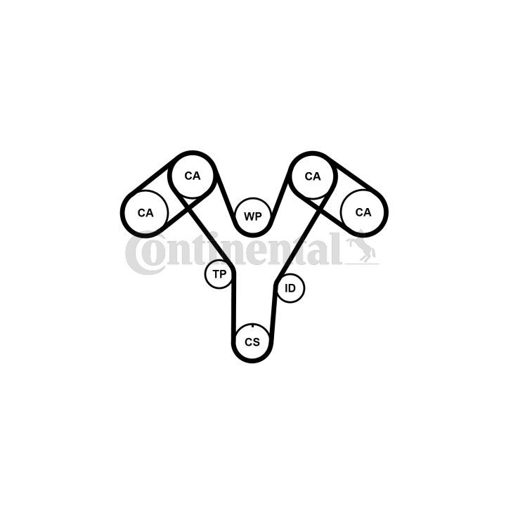 Paskirstymo diržo komplektas CONTINENTAL CTAM CT1096K2PRO