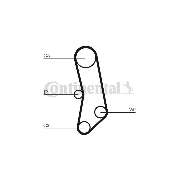 Paskirstymo diržo komplektas CONTINENTAL CTAM CT503K1