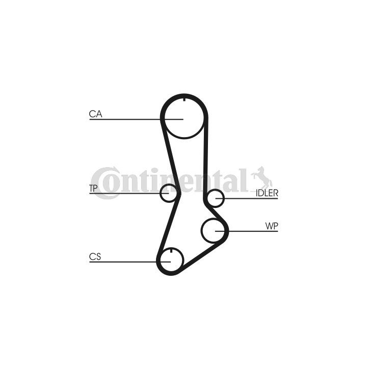 Paskirstymo diržo komplektas CONTINENTAL CTAM CT765K1