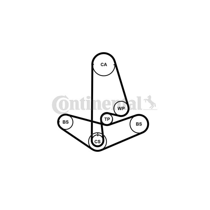 Paskirstymo diržo komplektas CONTINENTAL CTAM CT799K2PRO