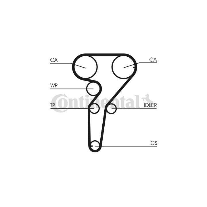 Paskirstymo diržo komplektas CONTINENTAL CTAM CT877K1