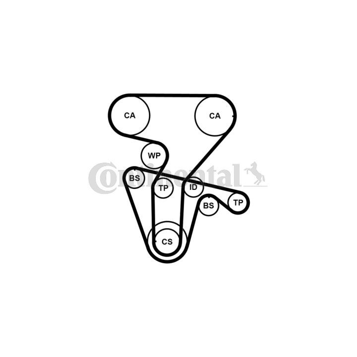 Paskirstymo diržo komplektas CONTINENTAL CTAM CT877K5PRO