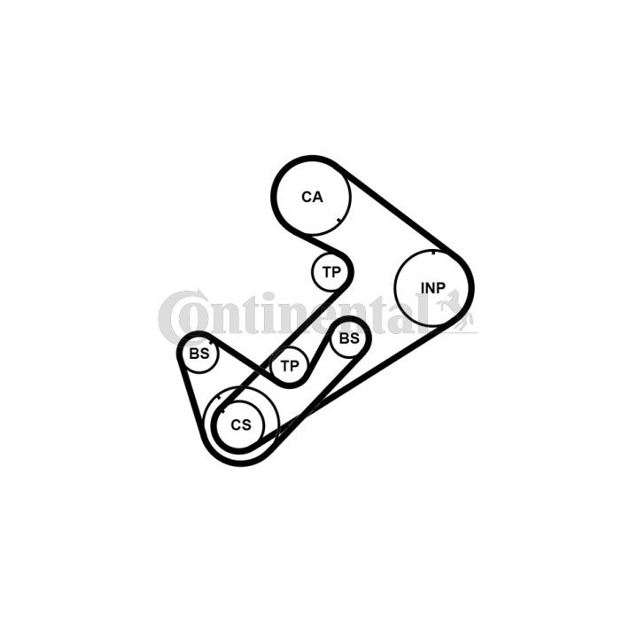 Paskirstymo diržo komplektas CONTINENTAL CTAM CT921K3PRO