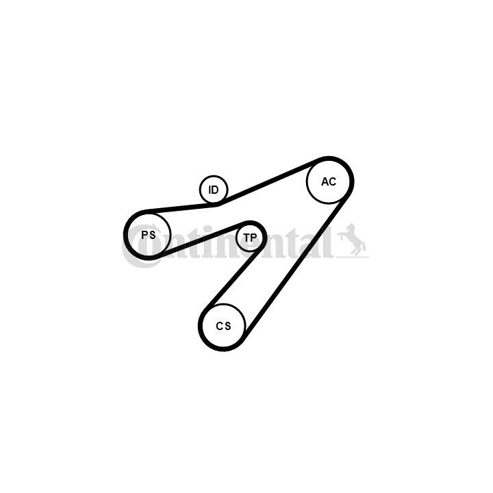 V formos rumbuotas diržas, komplektas CONTINENTAL CTAM 4PK1538K1