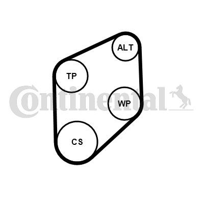 V formos rumbuotas diržas, komplektas CONTINENTAL CTAM 4PK800K1