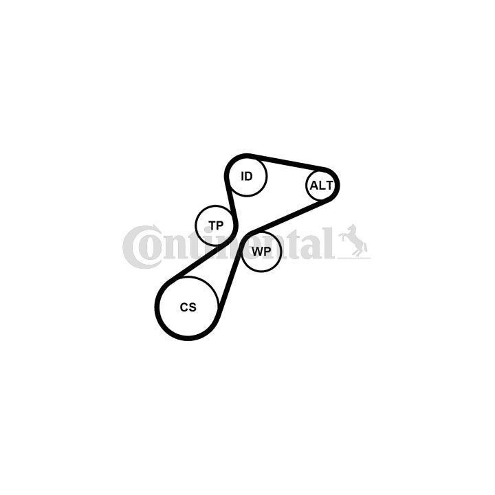 V formos rumbuotas diržas, komplektas CONTINENTAL CTAM 5PK1105K1