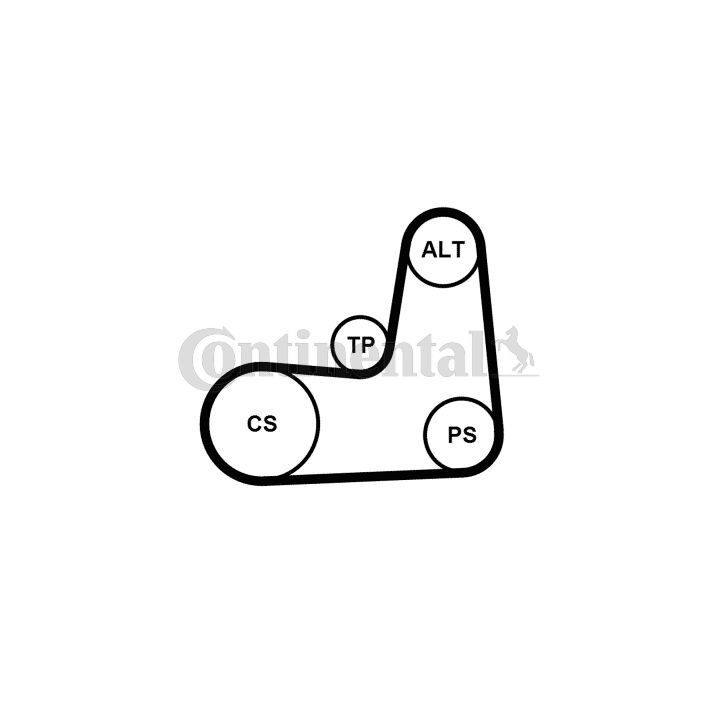 V formos rumbuotas diržas, komplektas CONTINENTAL CTAM 5PK1135K2