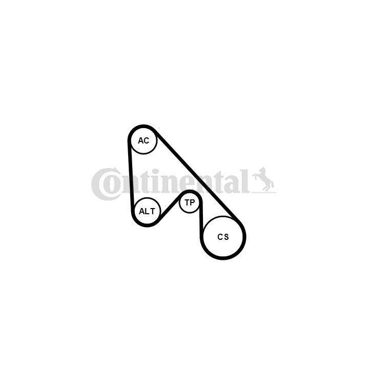 V formos rumbuotas diržas, komplektas CONTINENTAL CTAM 5PK1145K1