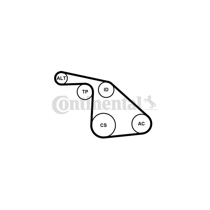 V formos rumbuotas diržas, komplektas CONTINENTAL CTAM 6PK1038K1