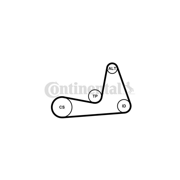 V formos rumbuotas diržas, komplektas CONTINENTAL CTAM 6PK1130K1