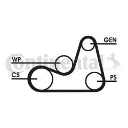 V formos rumbuotas diržas, komplektas CONTINENTAL CTAM 6PK1138D2