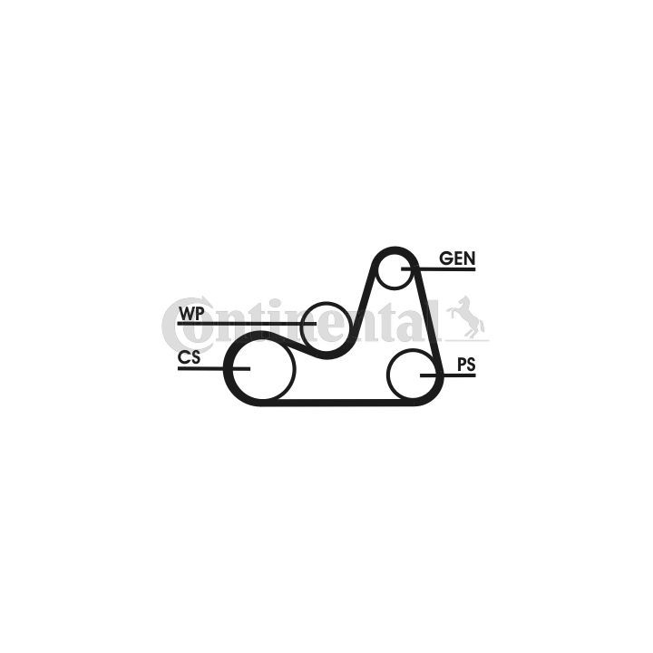 V formos rumbuotas diržas, komplektas CONTINENTAL CTAM 6PK1138D2