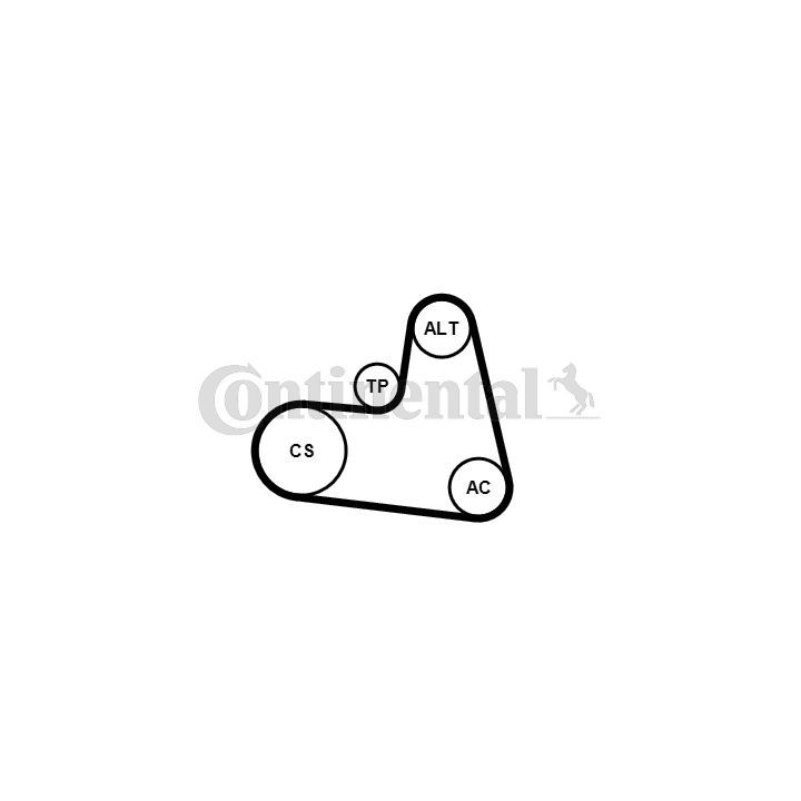 V formos rumbuotas diržas, komplektas CONTINENTAL CTAM 6PK1217K1