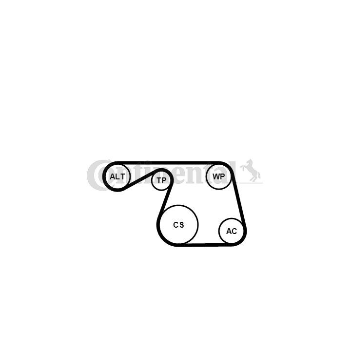 V formos rumbuotas diržas, komplektas CONTINENTAL CTAM 6PK1310K1