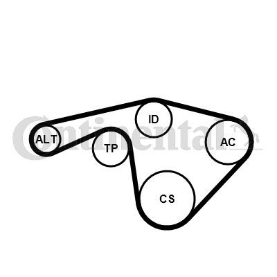 V formos rumbuotas diržas, komplektas CONTINENTAL CTAM 6PK1345 EXTRA K1