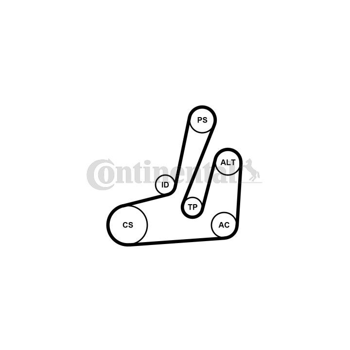 V formos rumbuotas diržas, komplektas CONTINENTAL CTAM 6PK1390K1