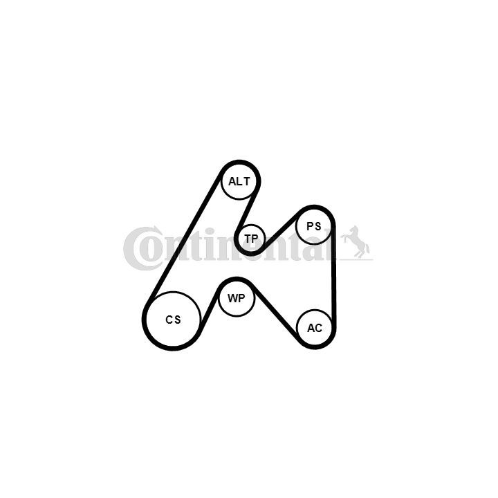 V formos rumbuotas diržas, komplektas CONTINENTAL CTAM 6PK1660K3