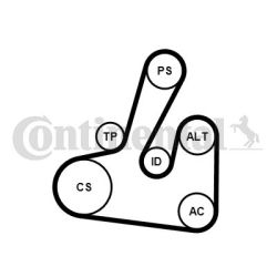 V formos rumbuotas diržas, komplektas CONTINENTAL CTAM 6PK1705K2
