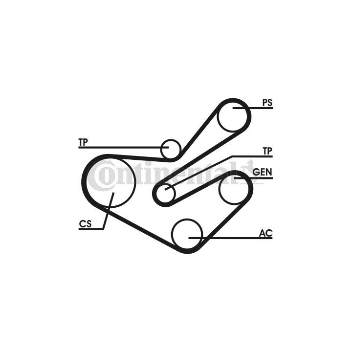 V formos rumbuotas diržas, komplektas CONTINENTAL CTAM 6PK1740D1
