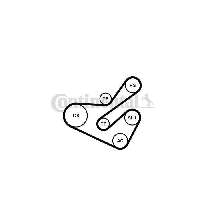 V formos rumbuotas diržas, komplektas CONTINENTAL CTAM 6PK1740K1