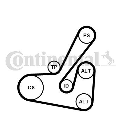 V formos rumbuotas diržas, komplektas CONTINENTAL CTAM 6PK1740K2