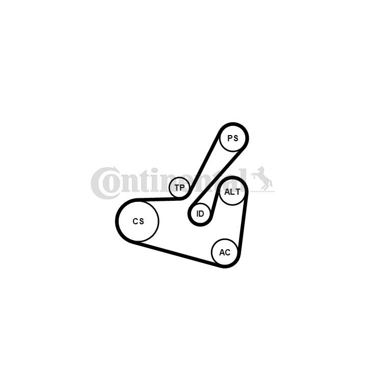 V formos rumbuotas diržas, komplektas CONTINENTAL CTAM 6PK1750K1