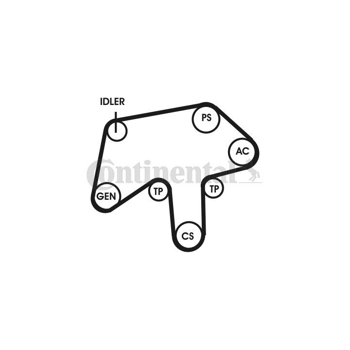 V formos rumbuotas diržas, komplektas CONTINENTAL CTAM 6PK1760D1