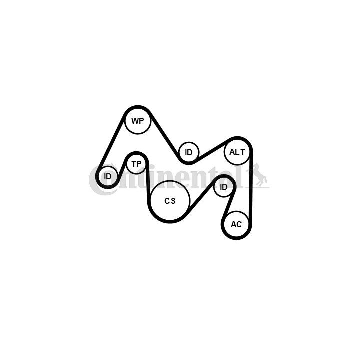 V formos rumbuotas diržas, komplektas CONTINENTAL CTAM 6PK1934K1