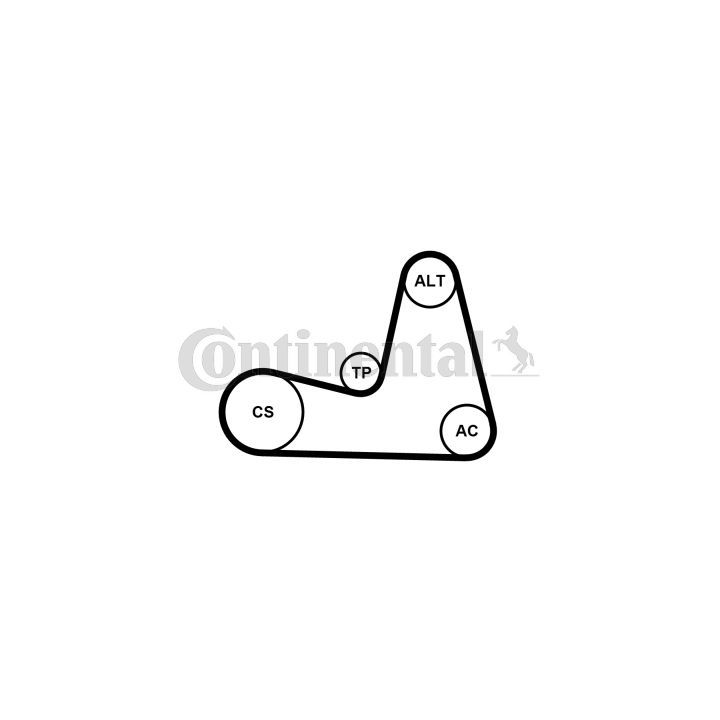 V formos rumbuotas diržas, komplektas CONTINENTAL CTAM 7PK1035K1