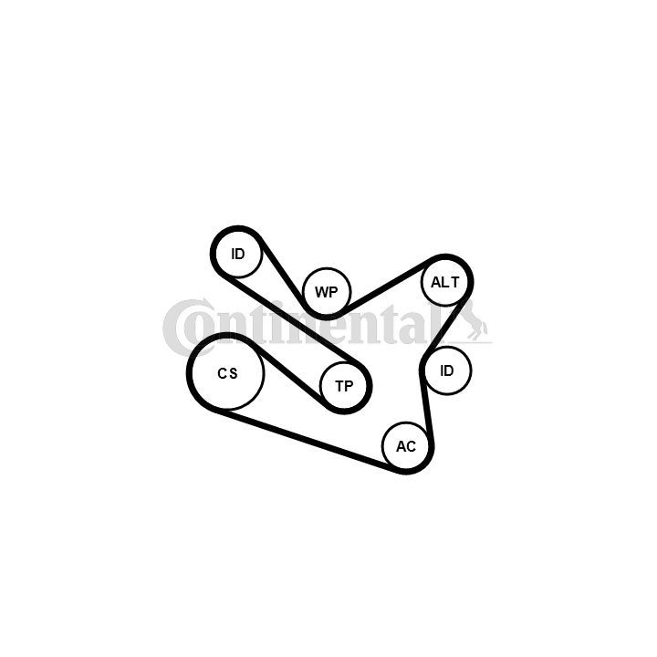 V formos rumbuotas diržas, komplektas CONTINENTAL CTAM 7PK1570K1