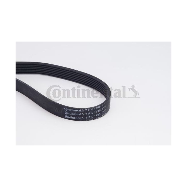 V formos rumbuotas diržas, komplektas CONTINENTAL CTAM 7PK1795K1