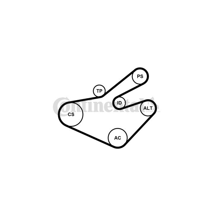 V formos rumbuotas diržas, komplektas CONTINENTAL CTAM 7PK1795K1