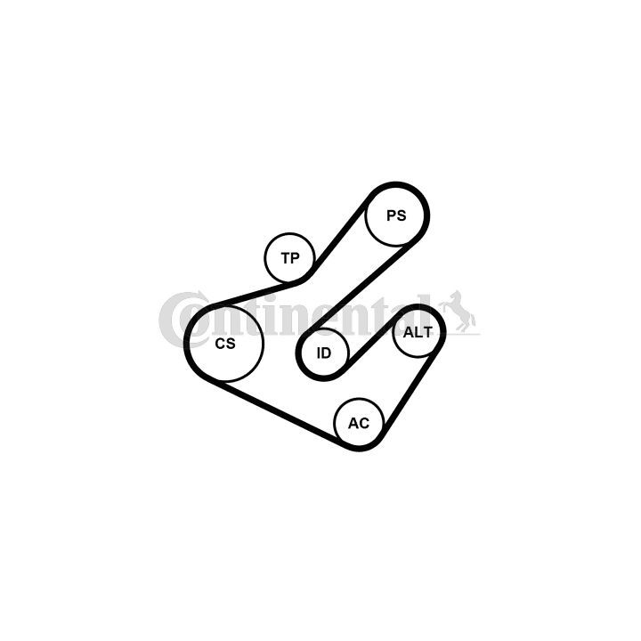 V formos rumbuotas diržas, komplektas CONTINENTAL CTAM 7PK1795K2